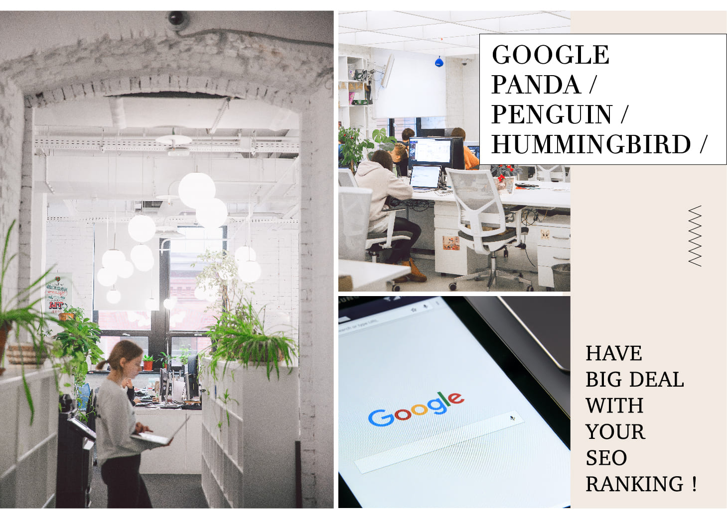 Google Panda/Penguin/Hummingbird have BIG DEAL with your SEO Ranking!SEO幫幫忙！一窺 Google 3大「動物演算法」秘密：熊貓、企鵝、蜂鳥 黑帽SEO、惡意反向連結不吃香
