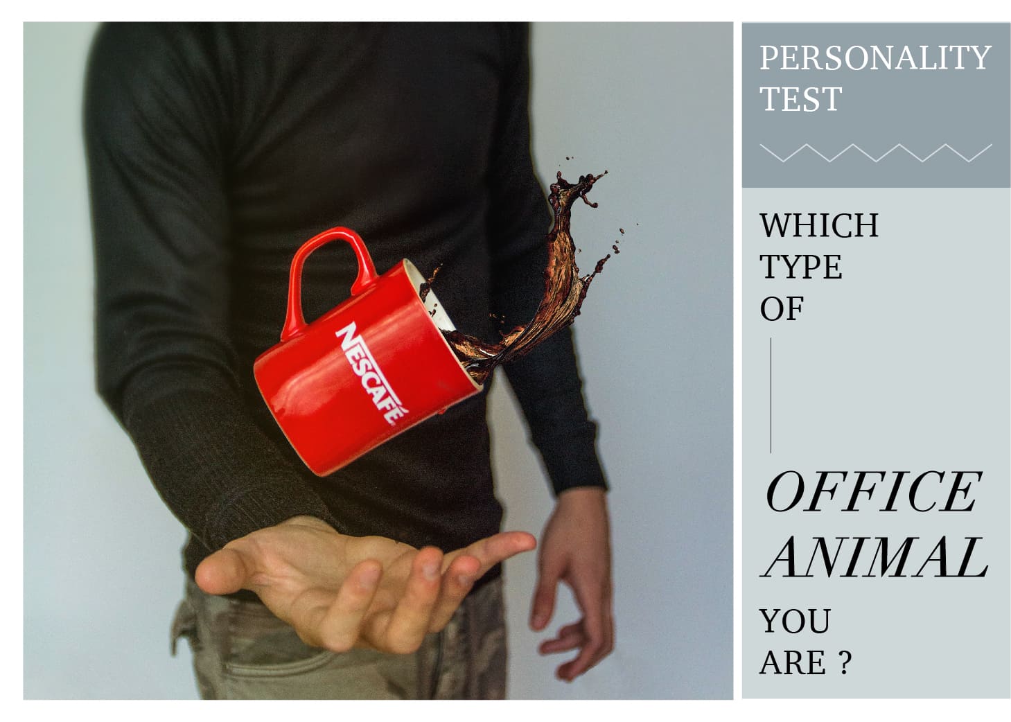 心理測驗／咖啡倒了！從1杯咖啡分析4種危機處理風格 — 職場動物型人格心理學[Personality Test] Which Type of "Office Animal" You Are?